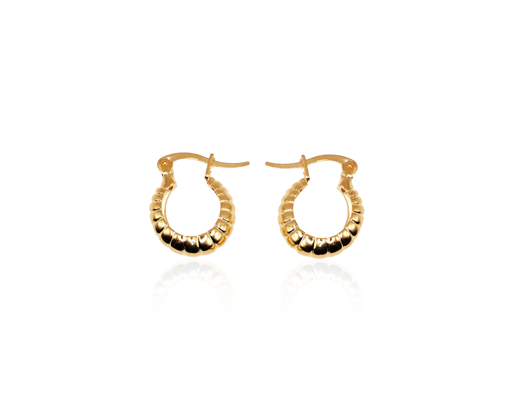 Sea Shell :: Mini Hoops